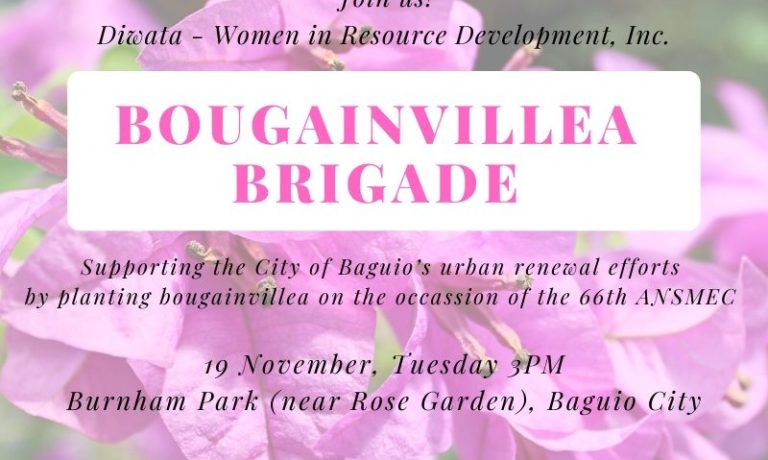 Diwata Bougainvillea Brigade Supporting the City of Baguio’s urban renewal efforts by planting bougainvillea on the occasion of the 66th ANSMEC